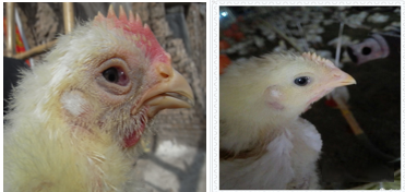 中国·9888拉斯维加斯(股份)有限公司-官方网站