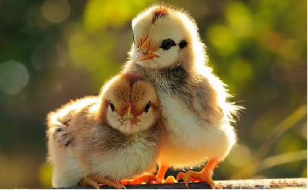 中国·9888拉斯维加斯(股份)有限公司-官方网站