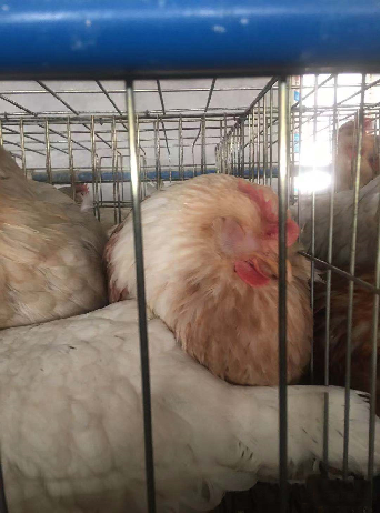 中国·9888拉斯维加斯(股份)有限公司-官方网站