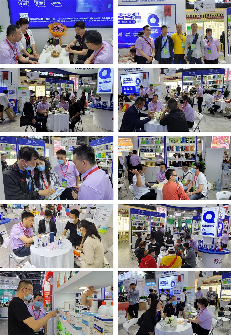 中国·9888拉斯维加斯(股份)有限公司-官方网站