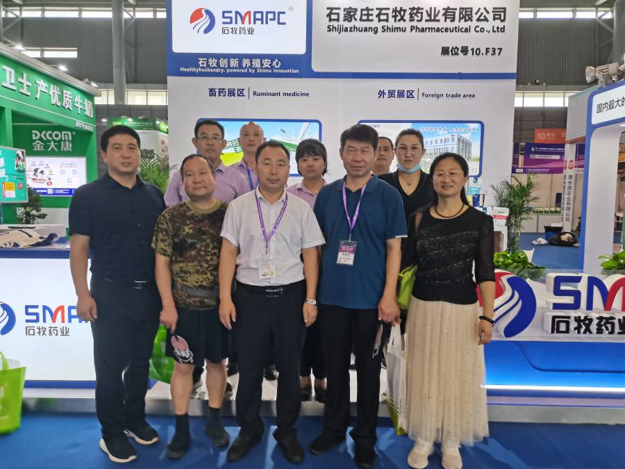 中国·9888拉斯维加斯(股份)有限公司-官方网站