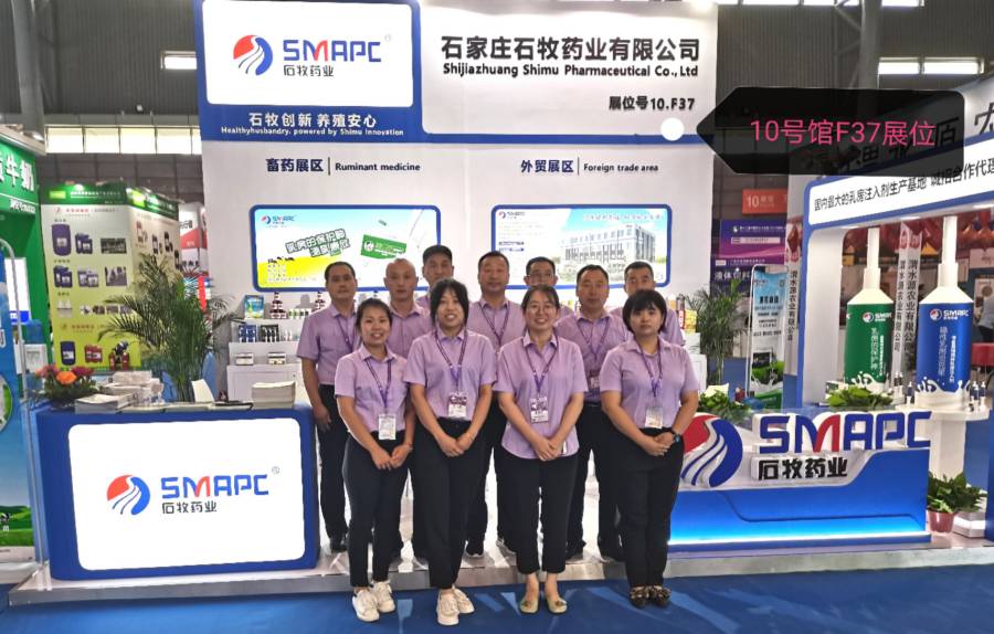 中国·9888拉斯维加斯(股份)有限公司-官方网站