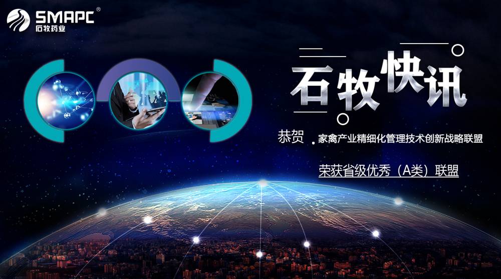 中国·9888拉斯维加斯(股份)有限公司-官方网站