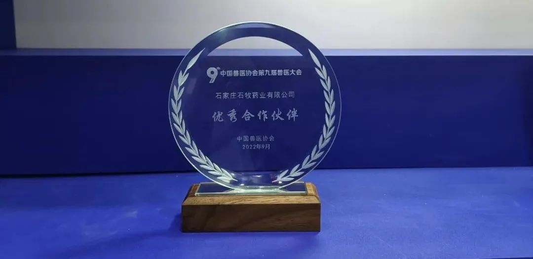 中国·9888拉斯维加斯(股份)有限公司-官方网站