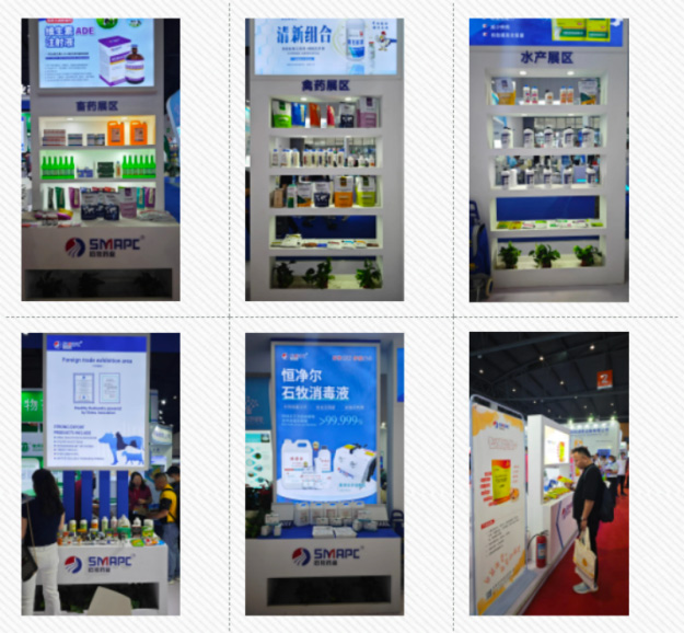 中国·9888拉斯维加斯(股份)有限公司-官方网站