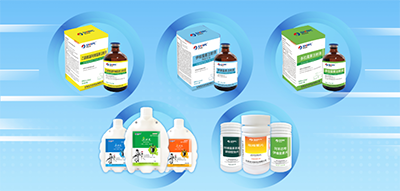 中国·9888拉斯维加斯(股份)有限公司-官方网站