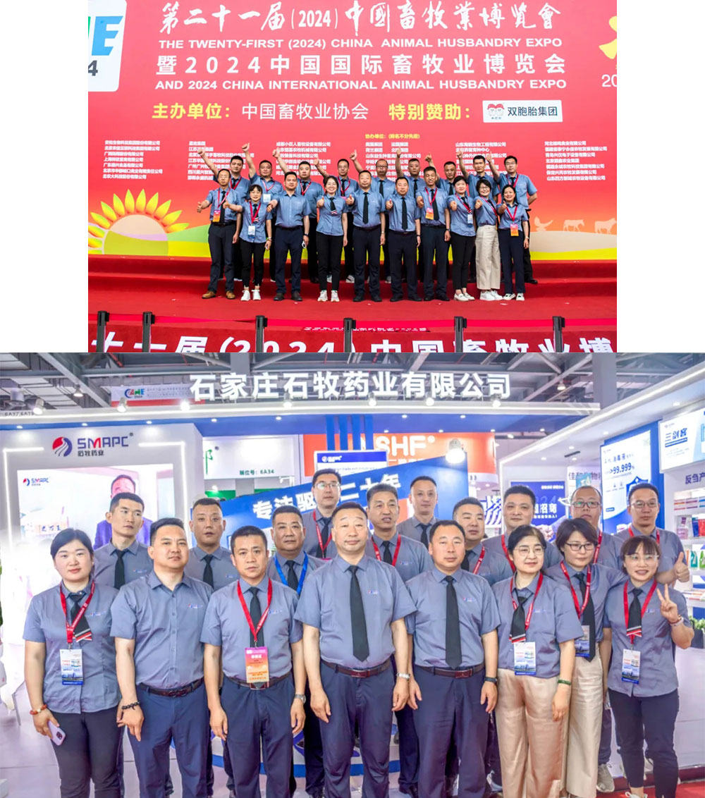 中国·9888拉斯维加斯(股份)有限公司-官方网站