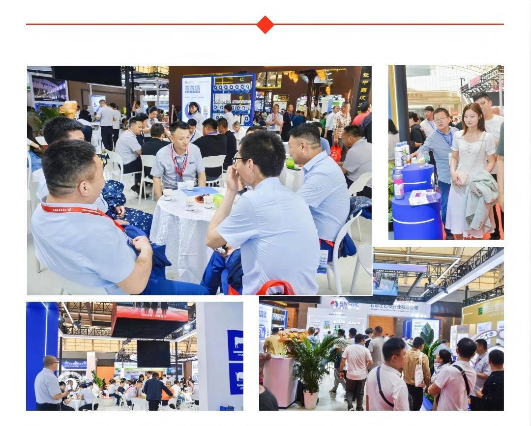 中国·9888拉斯维加斯(股份)有限公司-官方网站